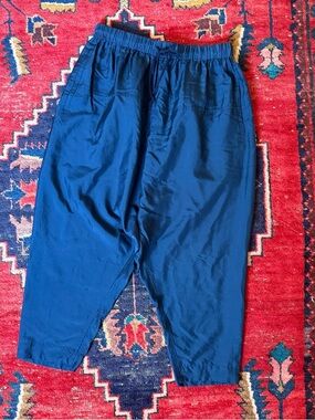 ARTS & SCIENCE Blue Silk Pants - XS S - Japan Quiet Luxury